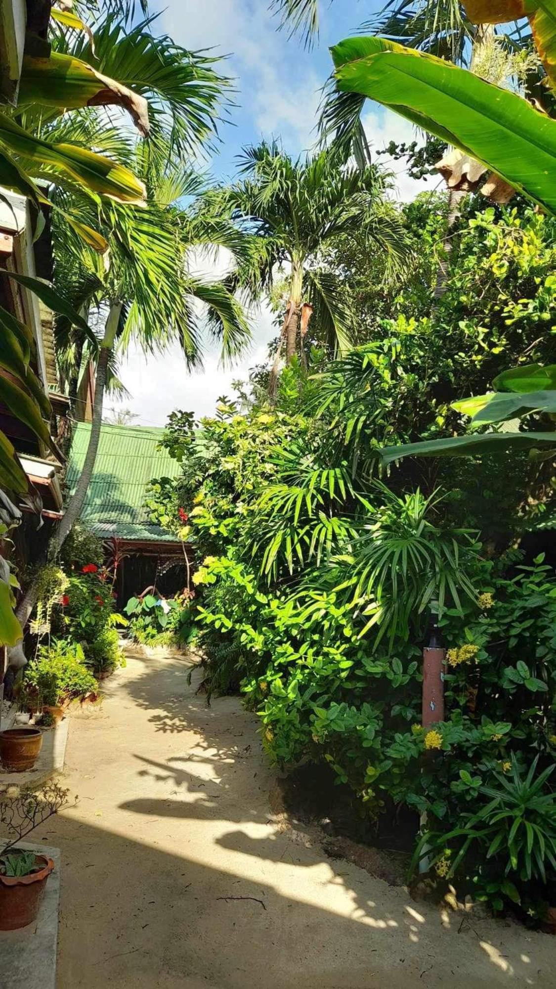 Beer'S House Bungalows เบียร์เฮ้าส์บังกะโล Ban Lamai Exteriör bild