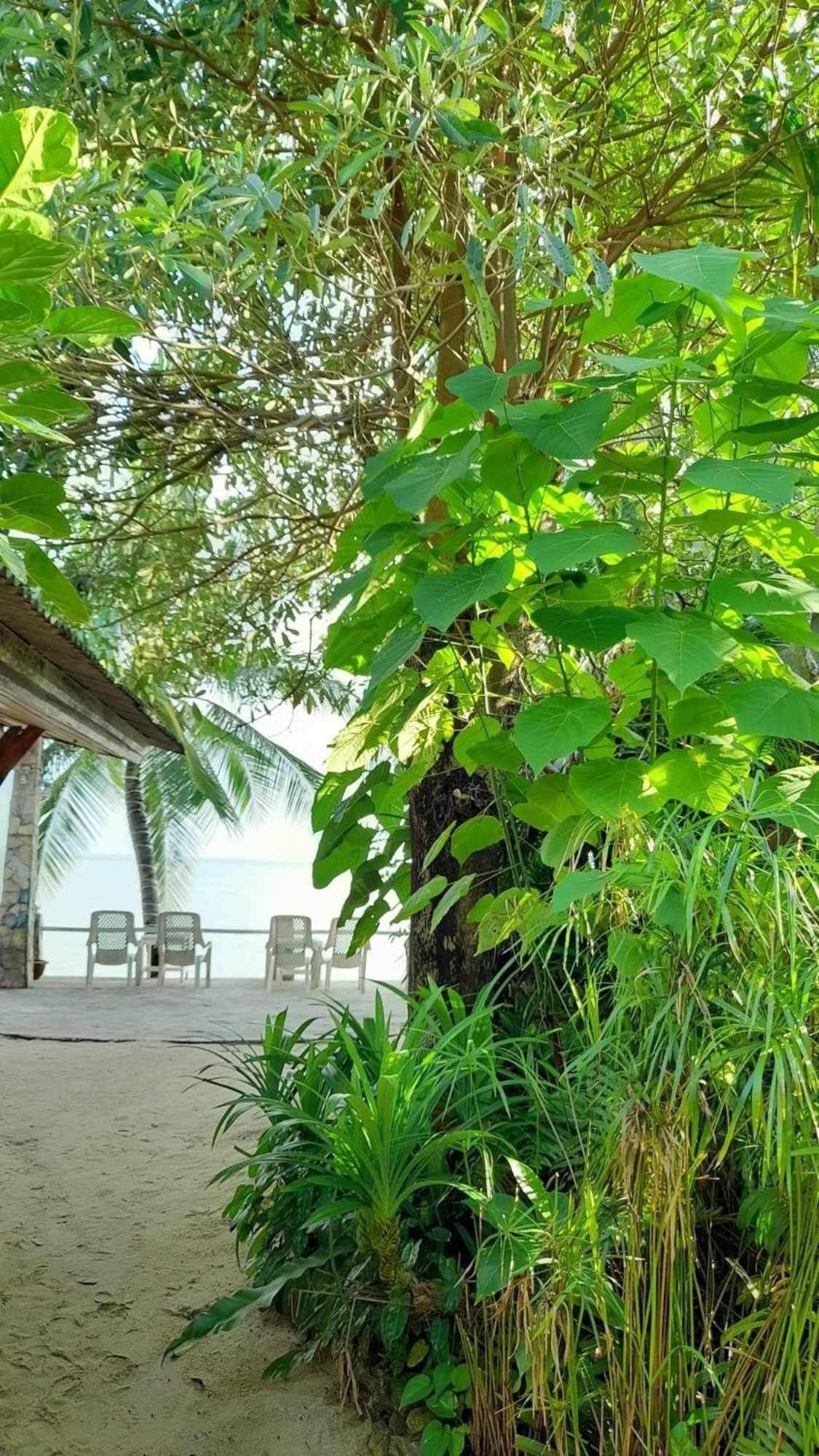 Beer'S House Bungalows เบียร์เฮ้าส์บังกะโล Ban Lamai Exteriör bild