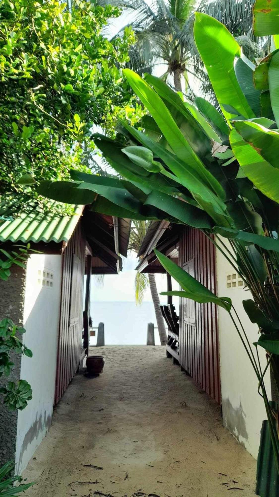 Beer'S House Bungalows เบียร์เฮ้าส์บังกะโล Ban Lamai Exteriör bild