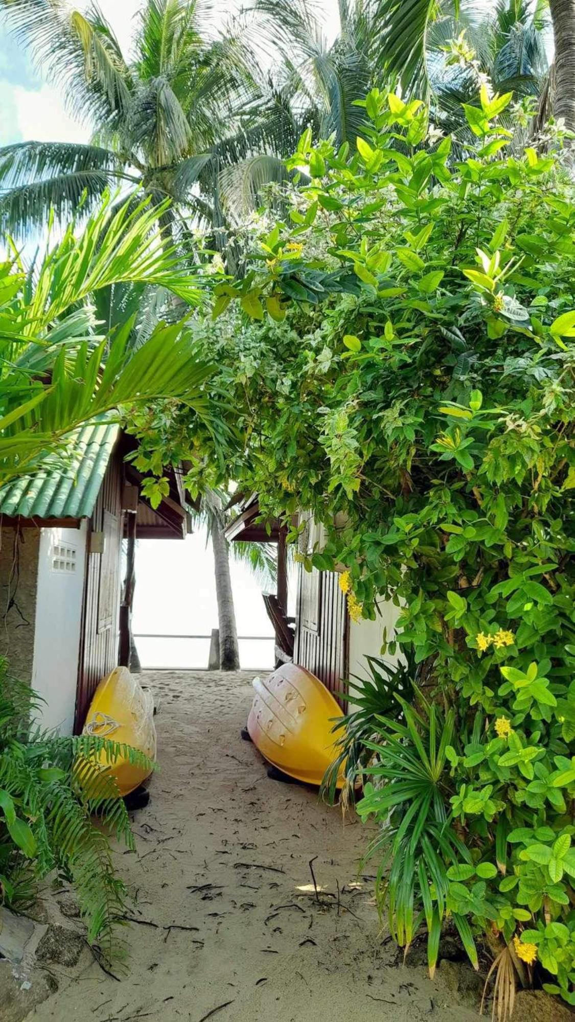 Beer'S House Bungalows เบียร์เฮ้าส์บังกะโล Ban Lamai Exteriör bild